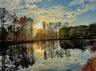 Felps Cemetery Rd, Thicket, TX 77374