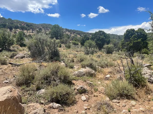 516 S Oakridge Cir, Pine Valley, UT 84781