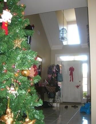 Entry Foyer, Vaulted, Sun Splashes into the Home