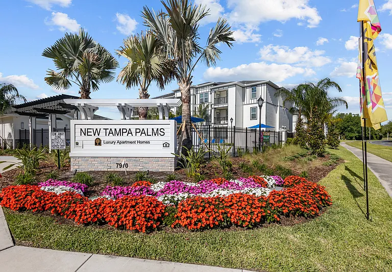 New Tampa Palms — Photo 4