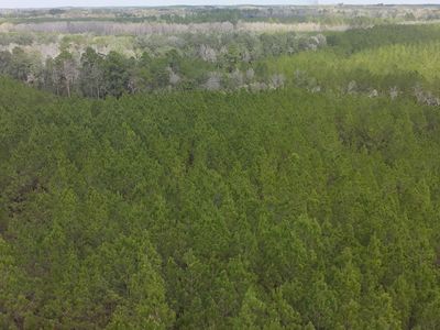 TRACT 6418 S Mattox Springs Rd #S1, Caryville, FL, 32427