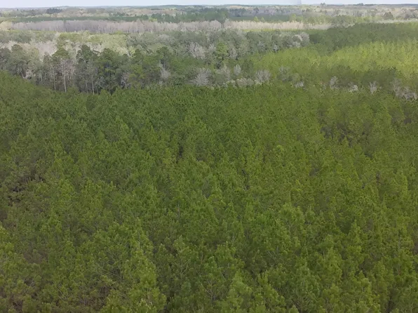 TRACT 6418 S Mattox Springs Rd #S1, Caryville, FL 32427