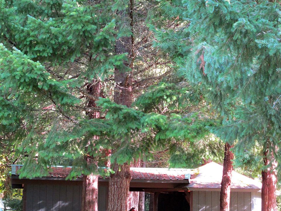 Main House