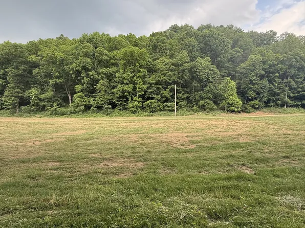 0 Hurricane Branch Ln Lot 8, Gainesboro, TN 38562