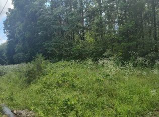 Lot142 143 Farm Road 1255, Shell Knob, MO 65747