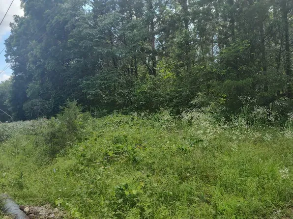 Lot142 143 Farm Road 1255, Shell Knob, MO 65747