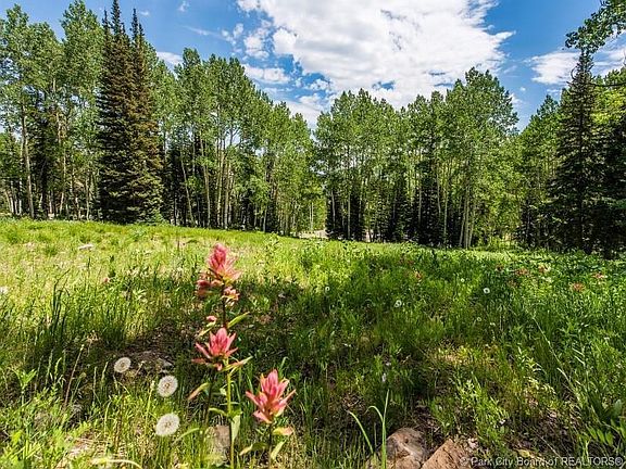 2nd image of 195 White Pine Canyon Rd #195