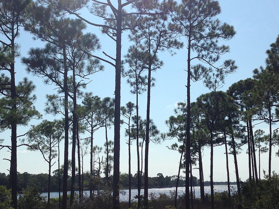 1st image of 827 Wild Heron Way