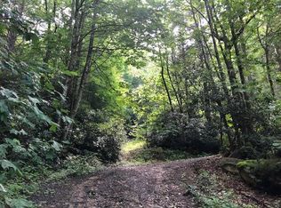 Dark Hollow Rd, Elk park, NC 28622