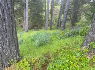 389 Ocean Parkway, Bolinas, CA 94924