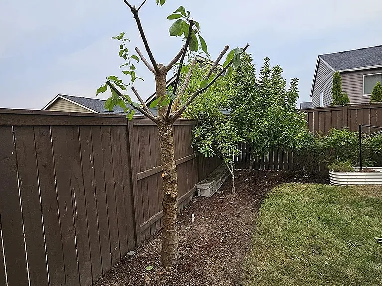 17017 NW Antonio St — Photo 17