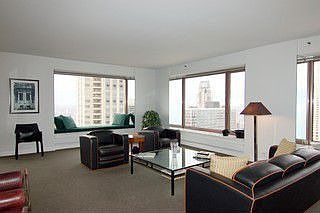 4th image of 161 E Chicago Ave APT 43D