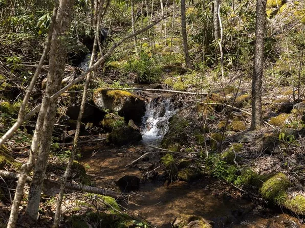 224 Hemlock Gap Ln, Franklin, NC 28734