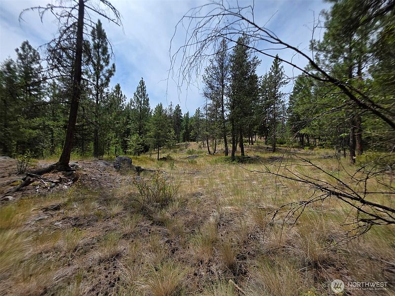 3rd image of 25 Outback Road