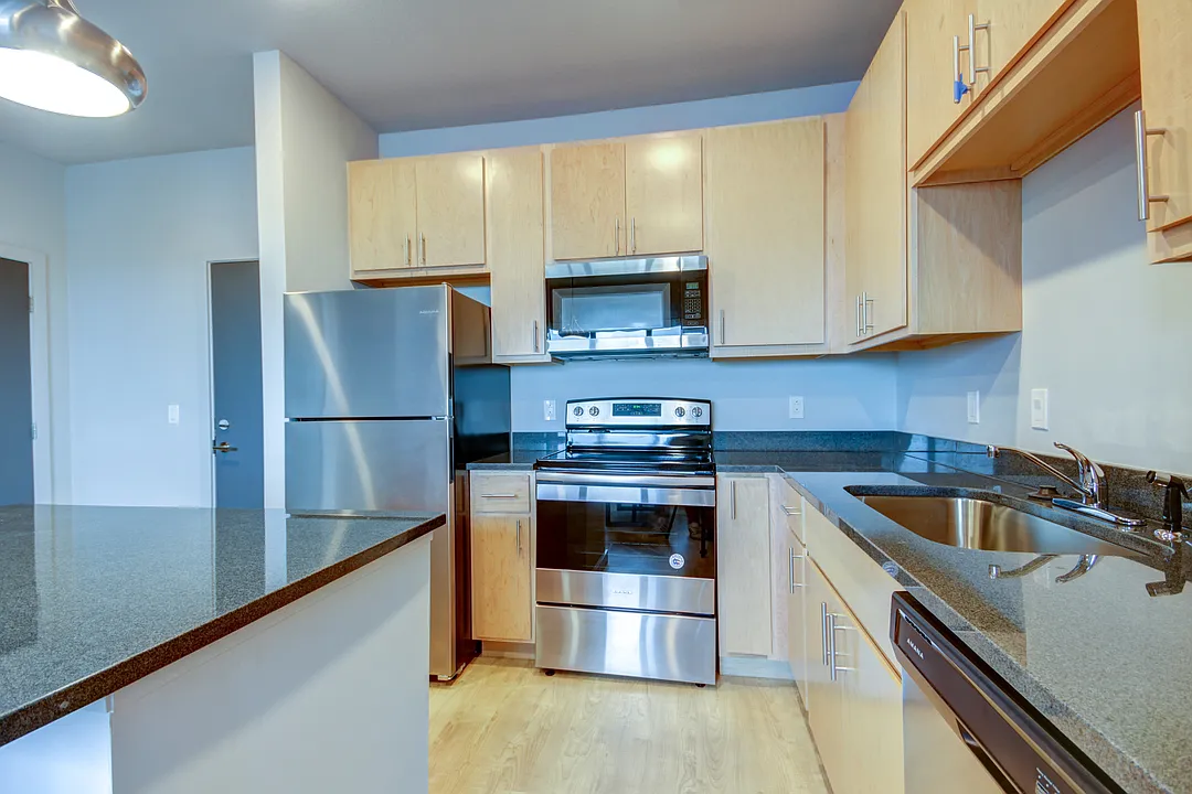 1 bed, 525 sqft, $1,249 — Photo 2