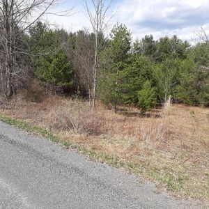 0 Hickory Hill Rd, Stamford, NY, 12167