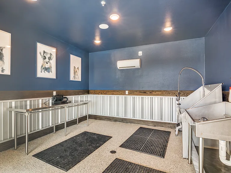 Luxia Rockwall Downes — Photo 28