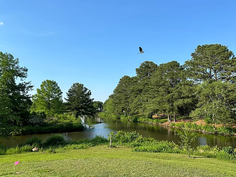 3801 Buchanan Dr — Photo 25