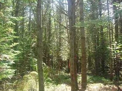2nd image of 165A Dana Mill Road