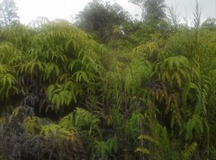 Road 4, Mountain View, HI 96771