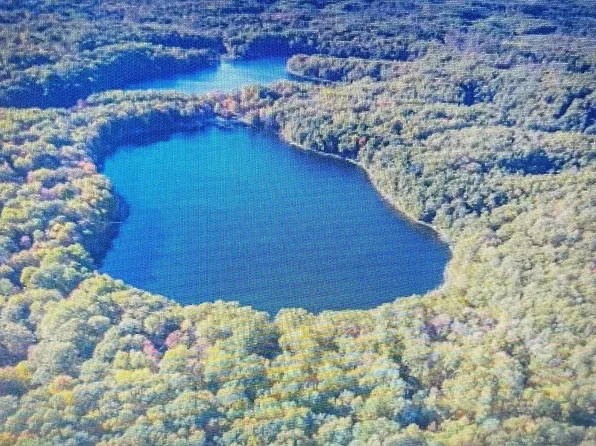 Alpine Dr, Reed City, MI 49677