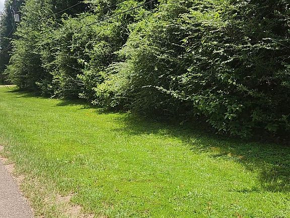 2nd image of Terri Ln