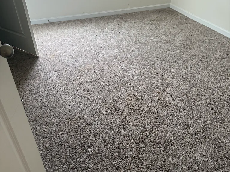 1429 Three Horses Ln — Photo 20