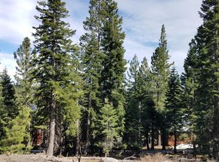 67 Station House Rd, Bear Valley, CA 95223