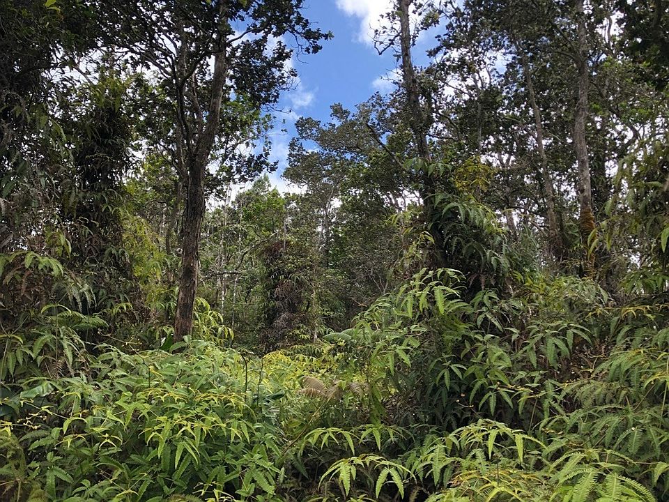 1st image of Nahelenani St Lot 53-B