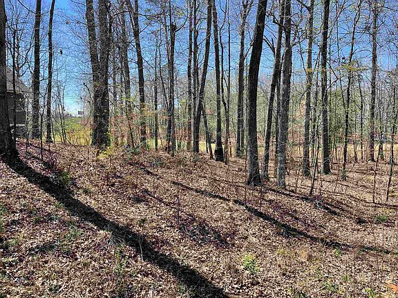 3rd image of 413 Dunhill Ct Lot 413-414