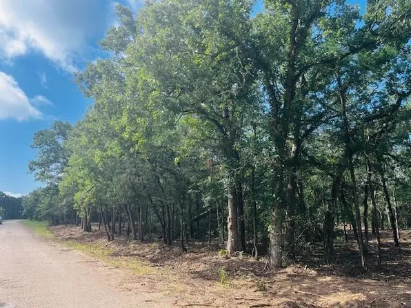 Big Creek Forest Dr, Somerville, TX 77879