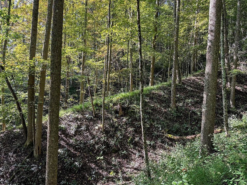 25th image of this home