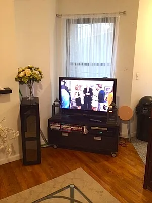 Rented by Pink Stone Realty LLC | media 30