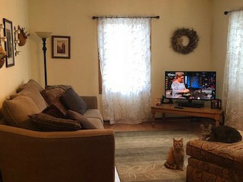 Living room - oak floors