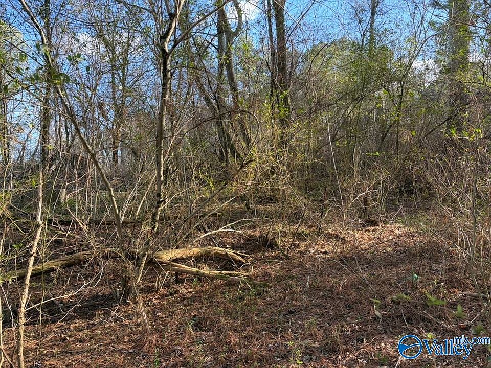 2nd image of 5288 State Highway 75