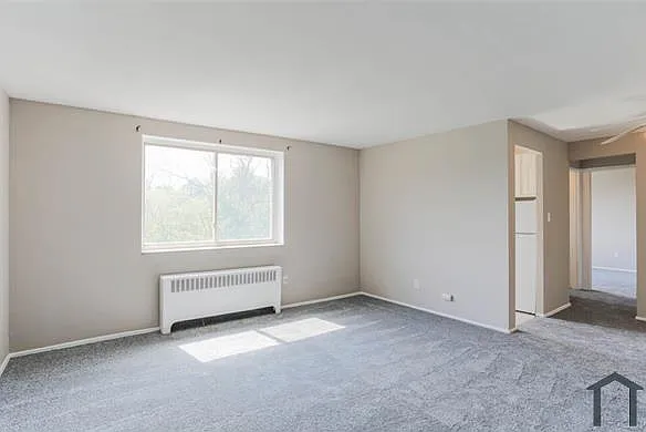 1 bed, 550 sqft, $800 — Photo 4