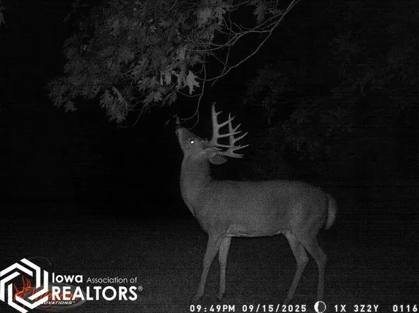 1701 N 14th St, Centerville, IA 52544