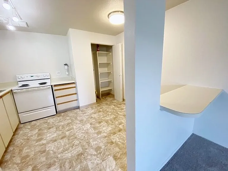 4446 Reka Dr — Photo 3