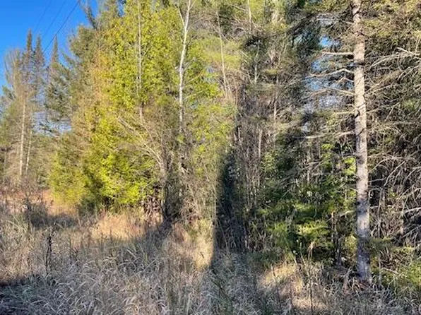 W 638th Hwy, Millersburg, MI 49759