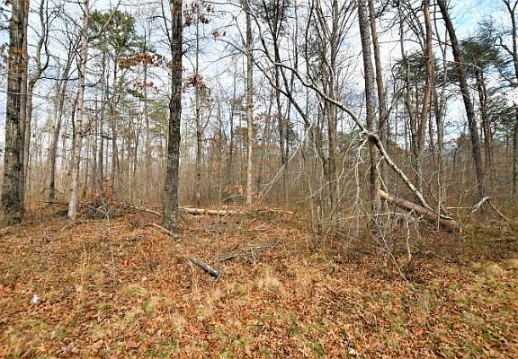 2nd image of LOT 1 Highway 150 Unit 1