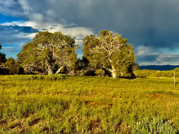 2800 County Road 222, Durango, CO 81303