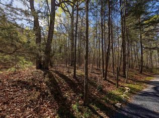 Shotgun Spring Rd, New Market, VA 22844