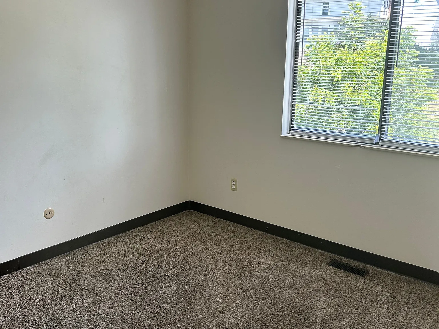 2 bed, 1.0 bath, $995 — Photo 2