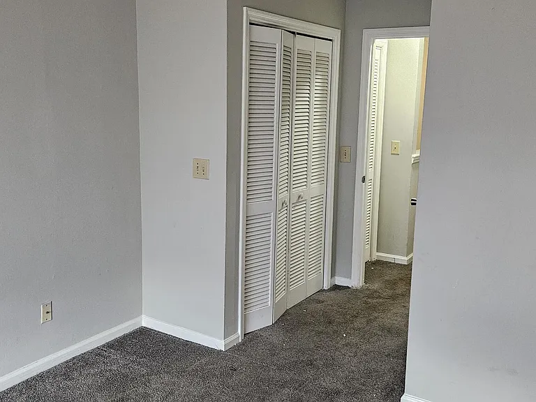 269 Pine Shadow Dr — Photo 10