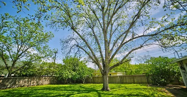 2119 Flamingo Dr — Photo 12