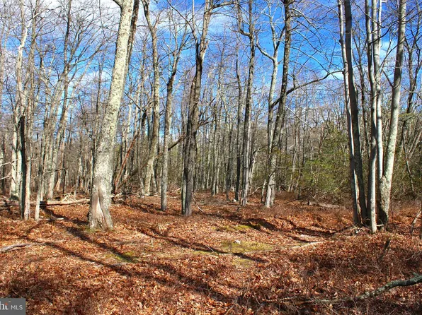 270 S Branch Mountain Rd, Moorefield, WV 26836