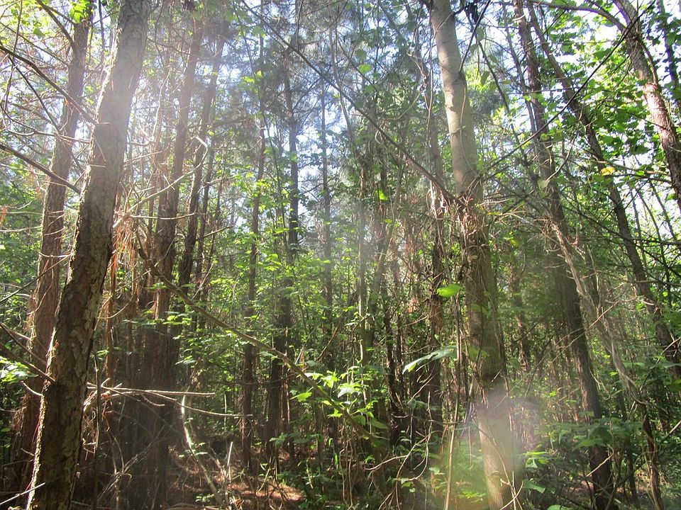 2nd image of 40 Lunenburg County Rd