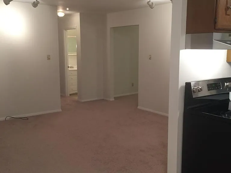 704 Evergreen Dr — Photo 7