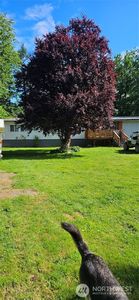 1009 Dyer Road, Sultan, WA, 98294