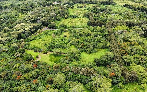 2nd image of Opihikau Rd Lot 2